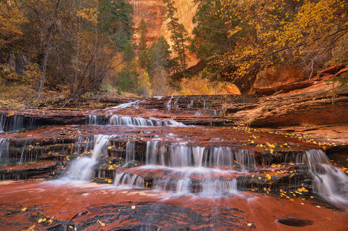 Archangel Falls on Left Fork of North Creek-Zion National Park Poster Print - Alan Majchrowicz