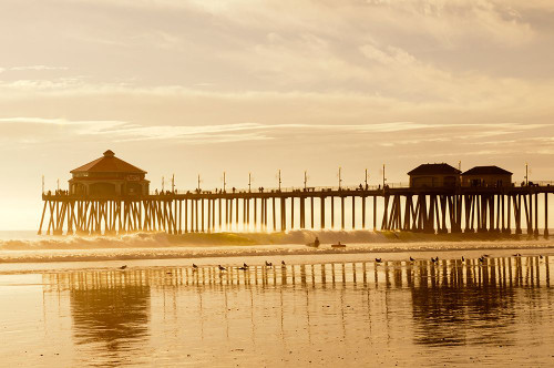 The Huntington Beach Pier and surfers at sunset Huntington Beach-California Poster Print - Sergio Pitamitz