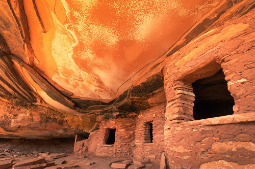 Fallen Roof House Cedar Mesa Bears Ears National Monument-Utah Poster Print - Alan Majchrowicz