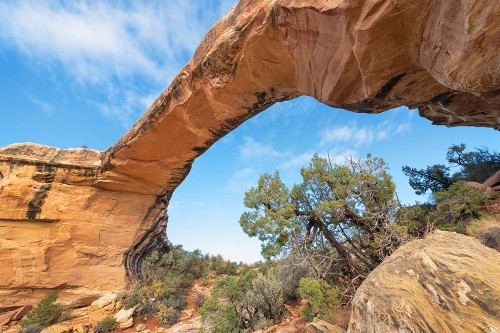 Owachomo Bridge-Natural Bridges National Monument-Utah Poster Print - Alan Majchrowicz