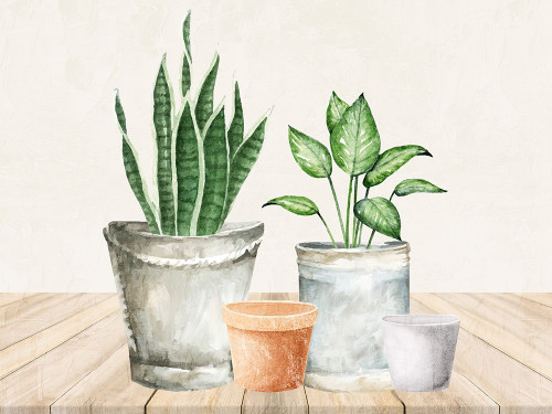 Tin Greens 1 Poster Print - Kimberly Allen