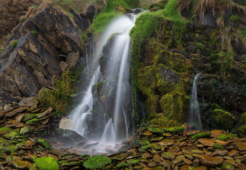 Ireland-Ferriters Cove Close-up of waterfall and mossy rocks Poster Print - Gallery Jaynes