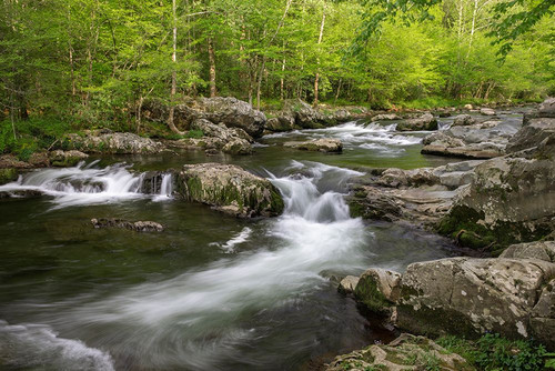 Spring view of Little Pigeon River-Greenbrier area-Great Smoky Mountains National Park-Tennessee Poster Print - Adam Jones