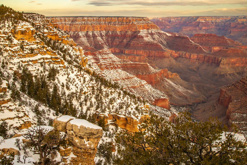USA-Arizona-Grand Canyon National Park Winter canyon overview from Grandview Point Poster Print - Gallery Jaynes