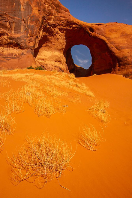USA-Arizona-Monument Valley Navajo Tribal Park Ear of the Wind arch in rock Poster Print - Gallery Jaynes