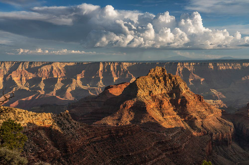 USA-Arizona-Grand Canyon National Park Landscape with North Rim canyon formations at sunset Poster Print - Gallery Jaynes