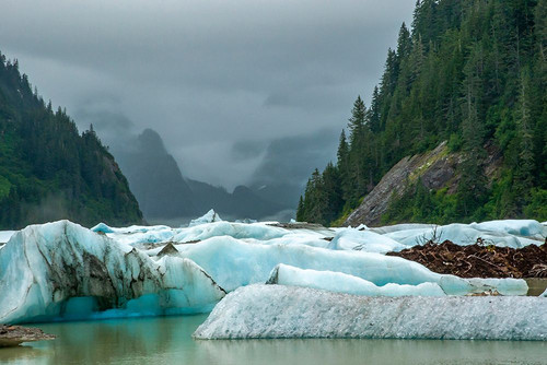 USA-Alaska-Tongass National Forest Icebergs in Shakes Lake Poster Print - Gallery Jaynes