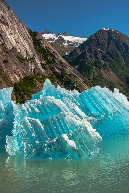 USA-Alaska-Tongass National Forest Icebergs in Endicott Arm inlet Poster Print - Gallery Jaynes