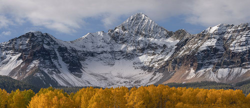 USA-Colorado-Uncompahgre National Forest Wilson Peak and aspen forest in autumn Poster Print - Gallery Jaynes