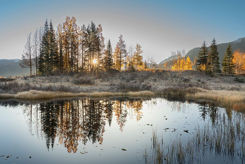 USA-Colorado-Uncompahgre National Forest Pond reflections on frosty sunrise Poster Print - Gallery Jaynes