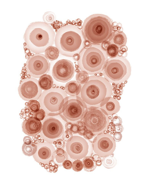 Abstract Ameba Triptych 3 Poster Print - Matthew Piotrowicz