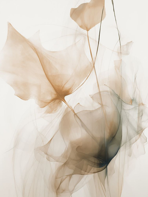 Floral Transparency II Poster Print - Andrea Haase