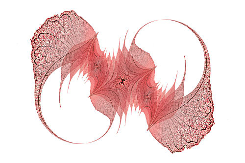 Red colored skeleton leaves arranged on black background Poster Print - Adam Jones