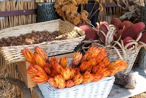 Munich-Germany Farmers market Fall dried flowers Poster Print - Julien McRoberts