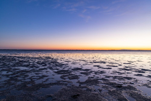 Provence-Alpes-Cote dAzur-France Sunrise on the marshlands of the Camargue Poster Print - Emily M. Wilson