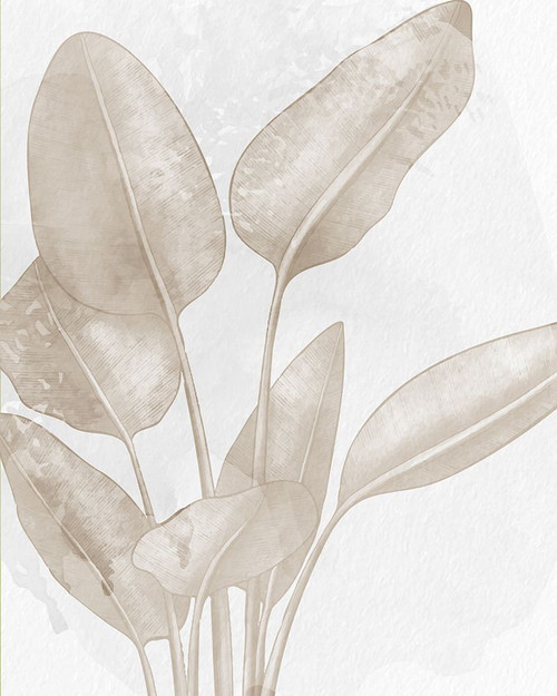 Palms 1 Poster Print - Ann Bailey