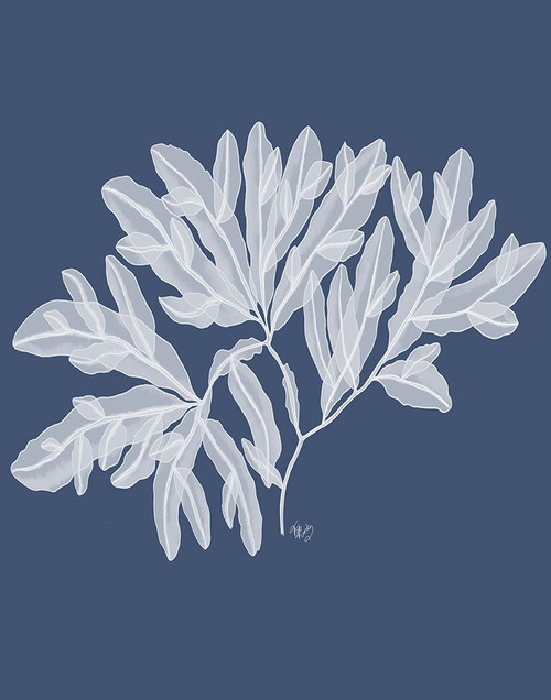 Seaweed 4 White on Indigo Blue Poster Print - Funky Fab