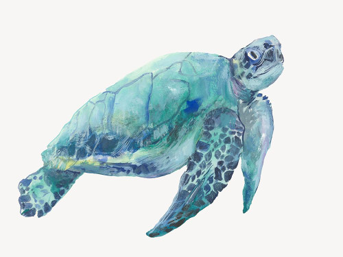 Blue Great Sea Turtle I Poster Print - Q Jacob