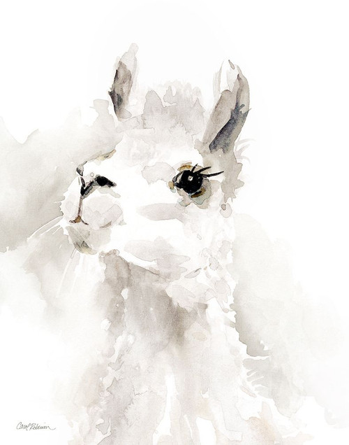 Sweet Llama II Poster Print - Carol Robinson