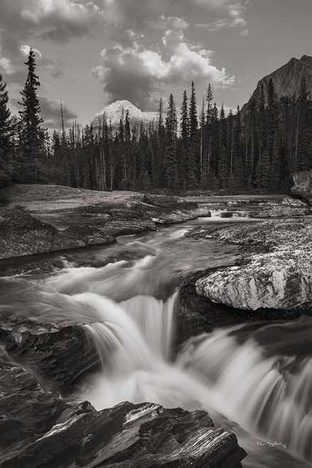 Kicking Horse River Poster Print - Alan Majchrowicz