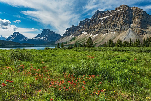 Canada-Alberta-Banff National Park Landscape with mountains and meadow next to Bow Lake Poster Print - Gallery Jaynes