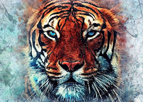 Tiger animal 2 Poster Print - Justyna Jaszke