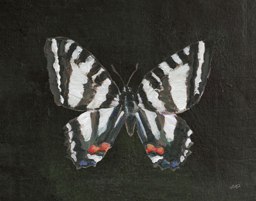 Garden Beauties II Black Poster Print - Julia Purinton