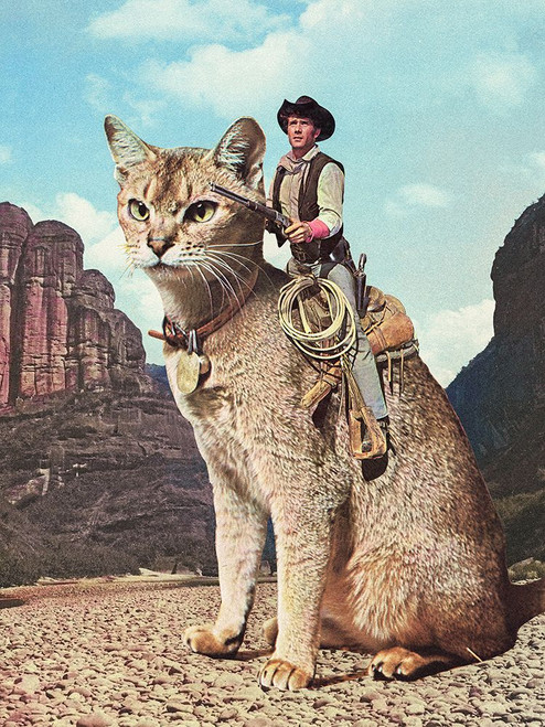 Cat Lone Ranger Poster Print - Artography Vertigo