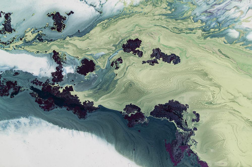 Untuched Estuarys Poster Print - Meikle Petra de