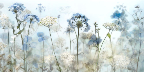 Early Morning Poster Print - Irene Weisz