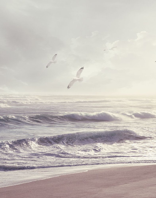 Catching the Wind Poster Print - Mike Calascibetta