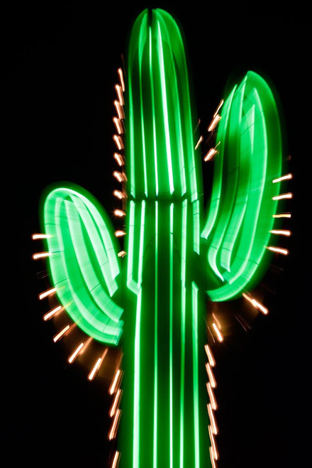 Neon Cactus Poster Print - Danita Delimont