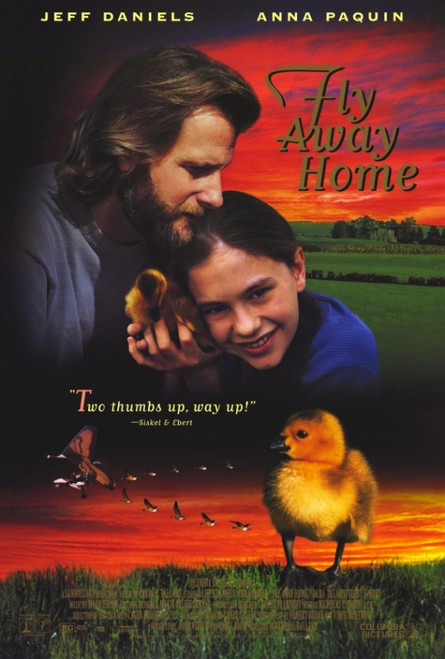 Fly Away Home Movie Poster Print (27 x 40) - Item # MOVAF3372
