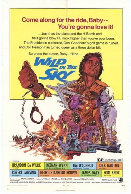 Wild in the Sky Movie Poster Print (27 x 40) - Item # MOVIH0714