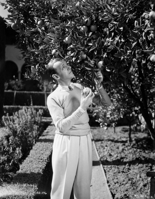 Fred Astaire Looking at a Tree in Black and White Photo Print - Item # VARCEL681039