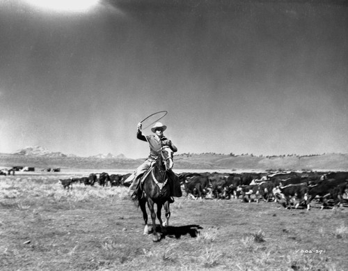 Gene Autry Riding a Horse and Spinning a Rope Photo Print - Item # VARCEL681170