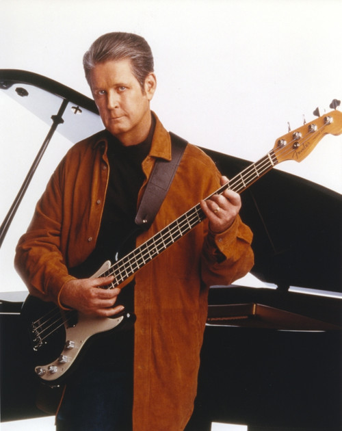 Beach Boys Band Member Photo Print - Item # VARCEL681806