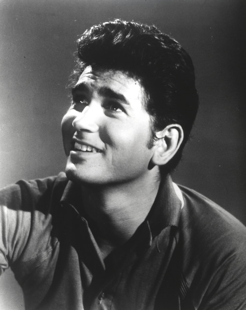 Michael Landon Photo Print - Item # VARCEL682328