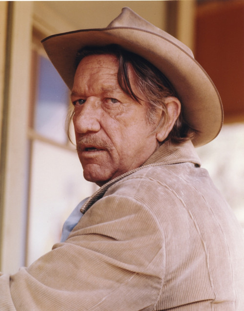 Richard Boone Posed in Cowboy Attire Photo Print - Item # VARCEL682374