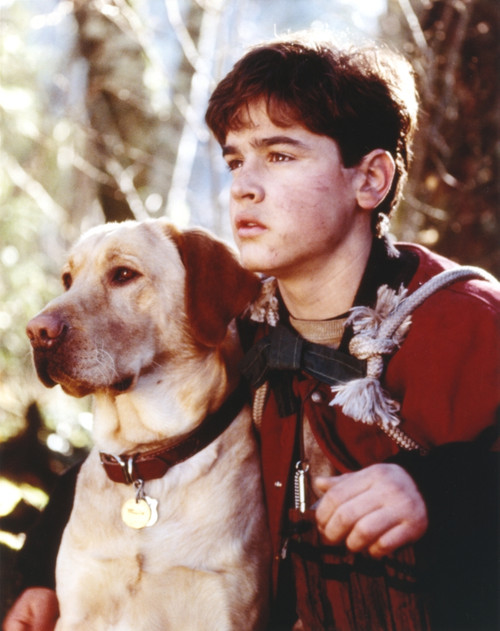 Jesse Bradford Posed with Dog Photo Print - Item # VARCEL682509