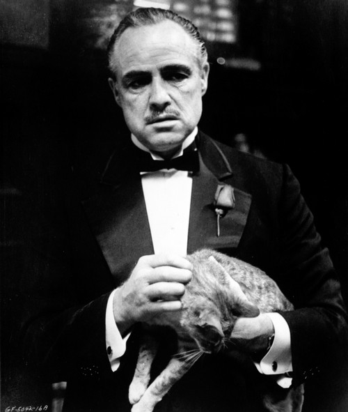 Marlon Brando in The Godfather Photo Print - Item # VARCEL682542