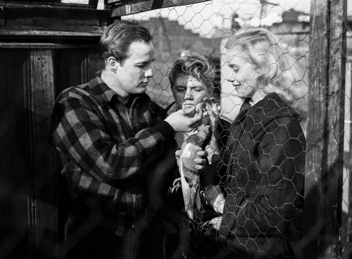 Marlon Brando Talking to Boy and a Girl Photo Print - Item # VARCEL682632