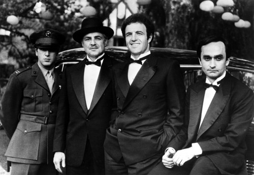 Marlon-GF Brando posed in Black and White Portrait Photo Print - Item # VARCEL682680
