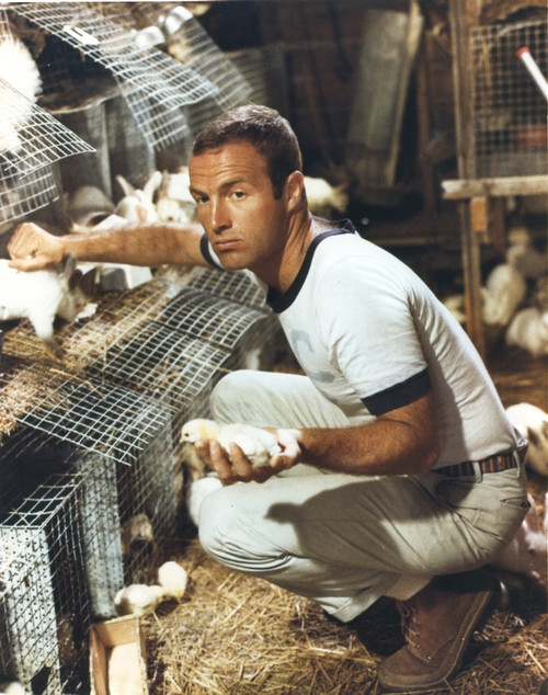 James Caan Posed with Chicken Eggs Photo Print - Item # VARCEL683192