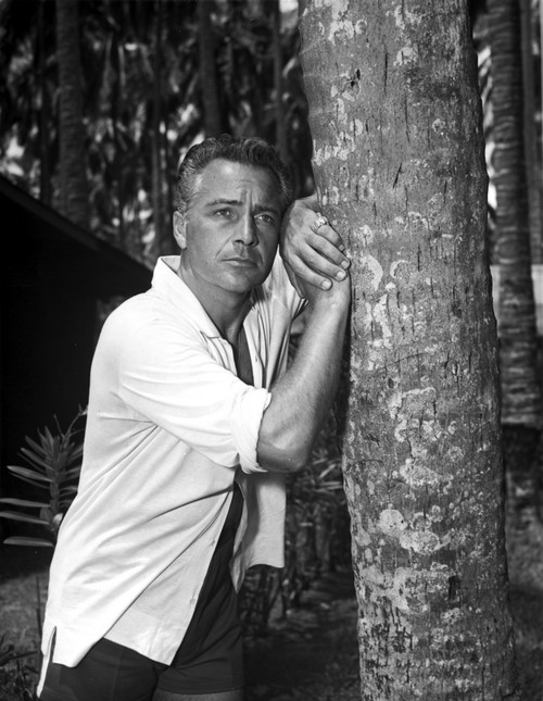Rossano Brazzi leaning on a tree Photo Print - Item # VARCEL683348