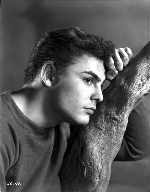 John Saxon with a branch Photo Print - Item # VARCEL683516