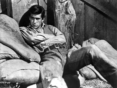 Anthony Perkins in sacks Photo Print - Item # VARCEL683558