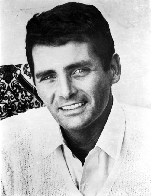 David Hedison Photo Print - Item # VARCEL683805