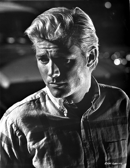 Michael Parks Photo Print - Item # VARCEL683995