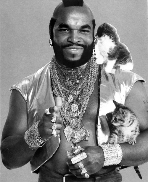 Mr T with kittens Photo Print - Item # VARCEL684093